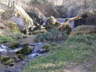 Agriclub Il Cavallino