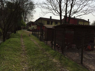 Azienda Agricola Del Cortese