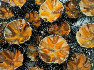 Pescheria
