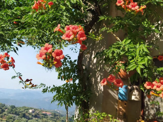 Locanda San Fantino