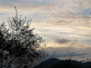 Agriturismo Cascina Il Poggio