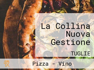 La Collina Nuova Gestione