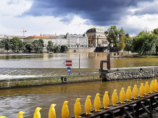 Kampa Park