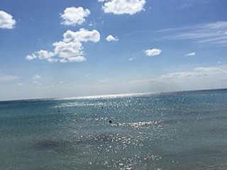 Lido La Pineta