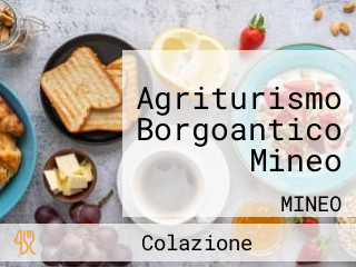 Agriturismo Borgoantico Mineo