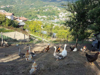 Cascina Salvega