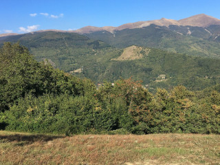 Agriturismo Fattoria La Piastra
