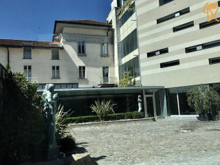 Ulivo Grand Imperiale