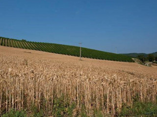 La Rianda Azienda Agrituristica