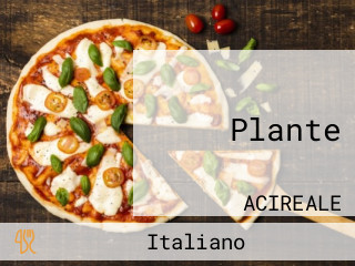 Plante