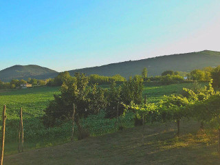 Agriturismo Genovesi
