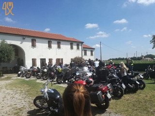 Al Capitello Home