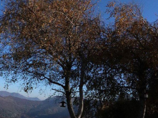 Capanna Giuseppe E Bruno