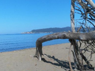 Il Gobbo Del Mare