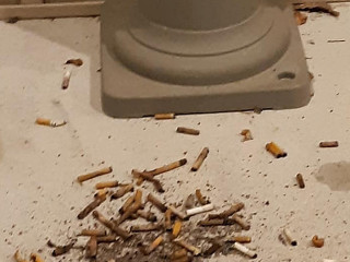 Gelateria Pandizucchero