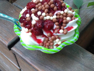 Gelateria Vignolese