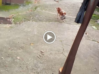 Il Tufo