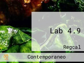 Lab 4.9