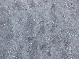 Debiross