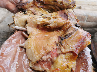 Le Tartarughe