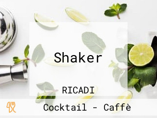 Shaker