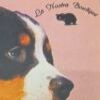 La Nostra Boutique Pet Store