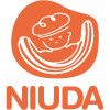 Niuda Ramen A Mano Vigevano