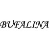 Pizza Bufalina
