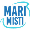 Mari Misti