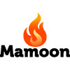 Mamoon Turkish Pizza Kebab Hamburger
