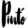 Pinto Sushi Temakeria Japanese