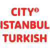 City Istanbul Pizza Kebap 3