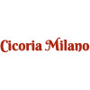 Cicoria Milano