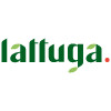 Lattuga