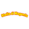 Stella Di Magenta Pizza More*