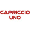Capriccio Uno-pizzeria Kebab Della Tradizione