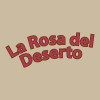La Rosa Del Deserto Padova