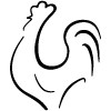 Pollidea I Mille Sapori Del Pollo