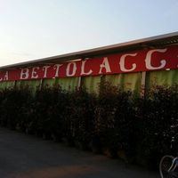 Bettolaccia