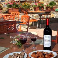 Trattoria Del Pettirosso Di Bottai Elena