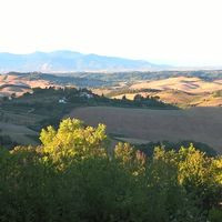 Sagra Del Cinghiale San Damiano