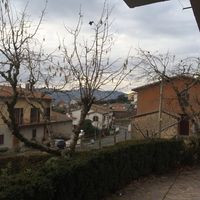 Marroneto
