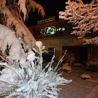 Il Dinosauro -pizzeria