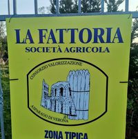 SocietÀ Agricola La Fattoria