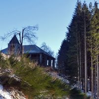 Madonna Del Monte