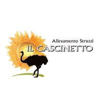 Il Cascinetto