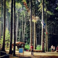 Parco Avventura Pizzorne