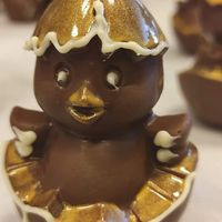 Pasticceria Sandri Pasta Fresca Dal 1966