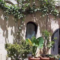 Pizzeria Borgo Antico Di Piero Carro