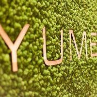 Yume Sushi Fusion